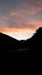 팜모닝 마늘·일상 게시글 이미지