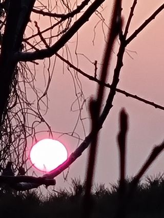 천안님의 우리동네 · 동네자랑 작성글 사진