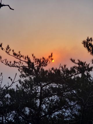 천안님의 우리동네 · 동네자랑 작성글 사진