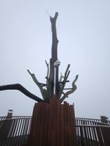 팜모닝 자유주제·자유게시판 게시글 이미지