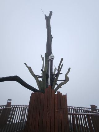 복숭아님의 자유주제 · 자유게시판 작성글 사진