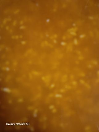 강화댁님의 자유주제 · 자유게시판 작성글 사진