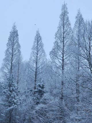 손천영님의 자유주제 · 자유게시판 작성글 사진