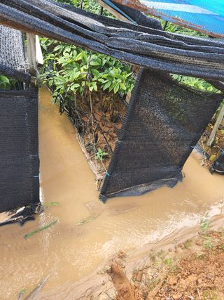 김현화님의 팜모닝 · 출석 작성글 사진