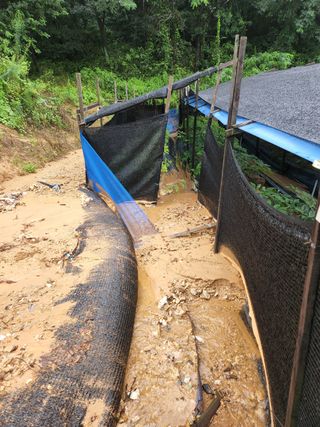 김현화님의 팜모닝 · 출석 작성글 사진