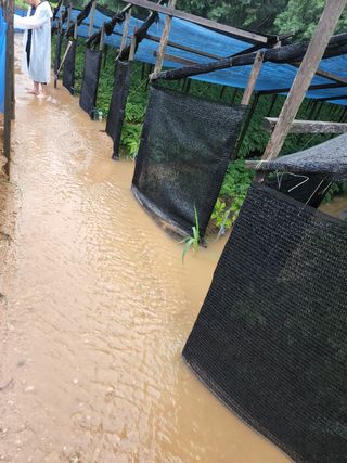 김현화님의 팜모닝 · 출석 작성글 사진