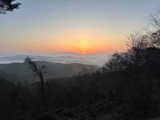 농사꾼 단비님의 자유주제 · 자유게시판 작성글 사진