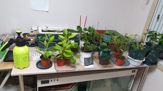 이상걸님의 팜모닝 · 출석 작성글 사진