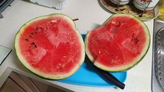 이상걸님의 팜모닝 · 출석 작성글 사진