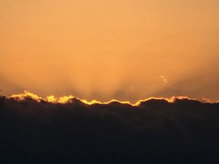 海山님의 팜모닝에서 기억에 남은 것은? · 참여글 작성글 사진