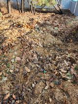 팜모닝 기타작물·자유게시판 게시글 이미지