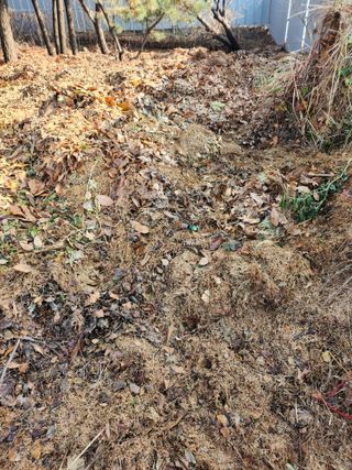 천지창조님의 기타작물 · 자유게시판 작성글 사진