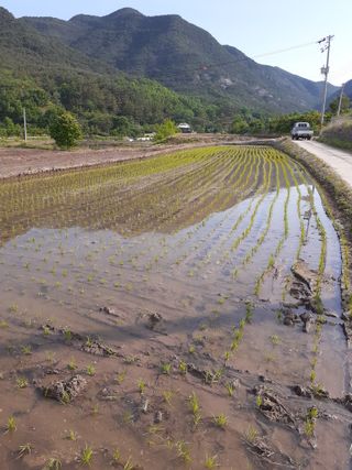 김영복님의 자유주제 · 자유게시판 작성글 사진