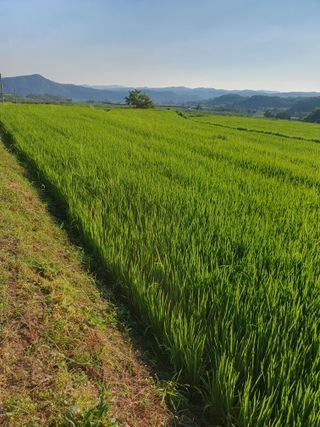 김영복님의 자유주제 · 자유게시판 작성글 사진