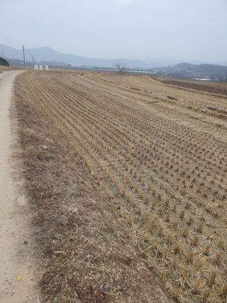 김영복님의 자유주제 · 자유게시판 작성글 사진