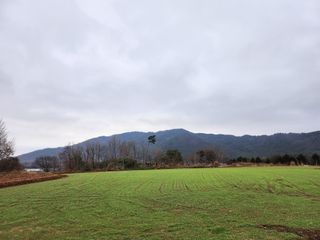 together님의 자유주제 · 자유게시판 작성글 사진