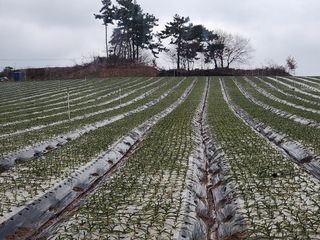 together님의 자유주제 · 자유게시판 작성글 사진