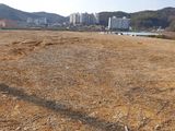 팜모닝 자유주제·자유게시판 게시글 이미지