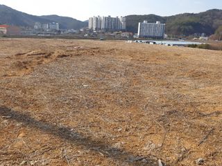 알 수 없음님의 자유주제 · 자유게시판 작성글 사진