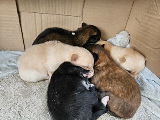 안성화님의 자유주제 · 자유게시판 작성글 사진