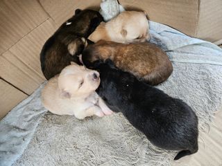 안성화님의 자유주제 · 자유게시판 작성글 사진