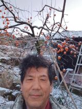 팜모닝 감·자유게시판 게시글 이미지