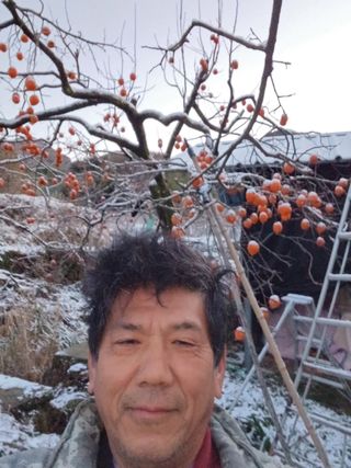 알 수 없음님의 감 · 자유게시판 작성글 사진