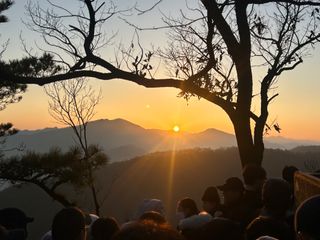 인동초재옥님의 팜모닝에서 기억에 남은 것은? · 참여글 작성글 사진
