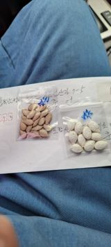 팜모닝 자유주제·자유게시판 게시글 이미지