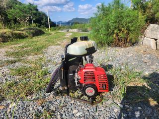 황금 소나무님의 팜모닝에서 기억에 남은 것은? · 참여글 작성글 사진