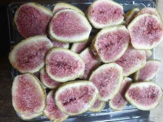 오아성님의 작성글 사진