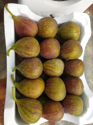 오아성님의 작성글 사진