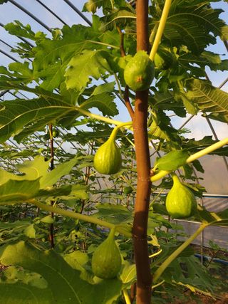 오아성님의 작성글 사진