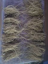 팜모닝 · 게시글 이미지