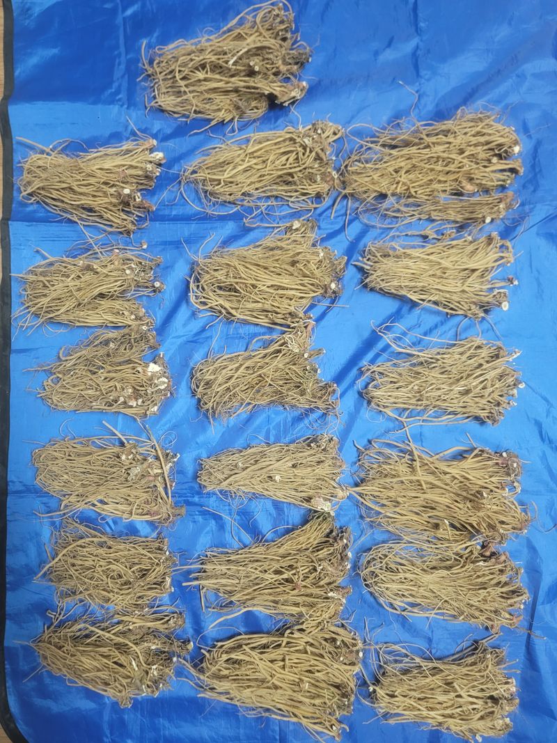 쨍하고해뜨는농원님의 장터 판매 상품 [건우슬뿌리1kg] 첨부 사진