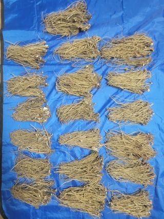 쨍하고해뜨는농원님의 작성글 사진