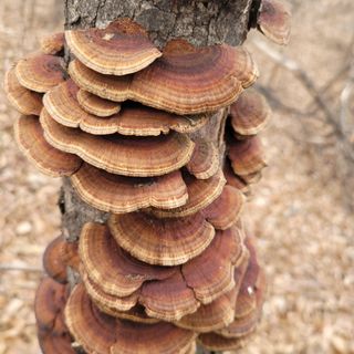 이창화님의 기타작물 · 자유게시판 작성글 사진