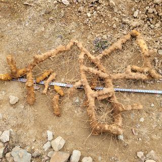 이창화님의 기타작물 · 자유게시판 작성글 사진