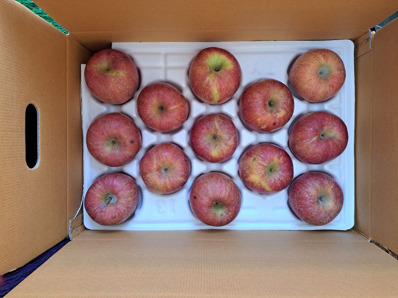 박수정님의 장터 판매 상품 [정품못난이혼합] 첨부 사진