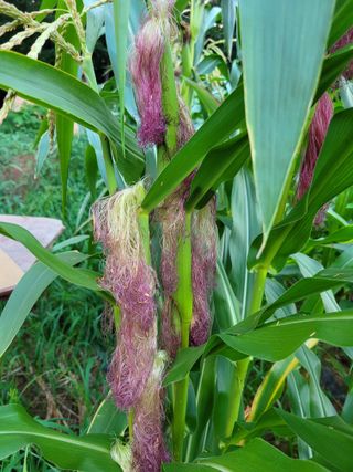 오연희님의 팜모닝에서 기억에 남은 것은? · 참여글 작성글 사진