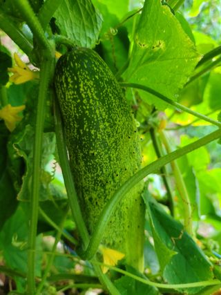 오연희님의 팜모닝에서 기억에 남은 것은? · 참여글 작성글 사진