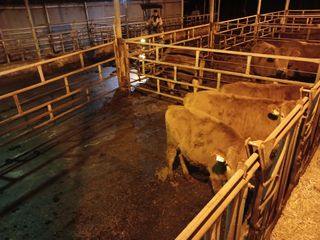 알 수 없음님의 우리동네 · 동네수다 작성글 사진