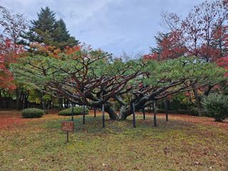 욕심내지말자님의 복숭아 · 자유게시판 작성글 사진