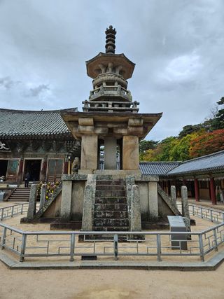 욕심내지말자님의 복숭아 · 자유게시판 작성글 사진