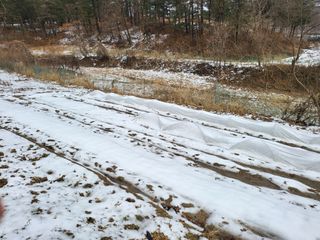 이서울비님의 자유주제 · 자유게시판 작성글 사진