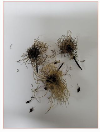 정찬영님의 자유주제 · 자유게시판 작성글 사진