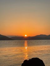 팜모닝 자유주제·자유게시판 게시글 이미지