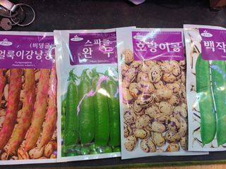 실로암농원님의 기타작물 · 자유게시판 작성글 사진