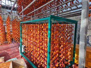 김병돈님의 팜모닝에게 바라는 것은? · 참여글 작성글 사진