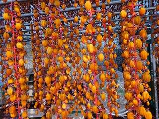 김병돈님의 팜모닝에게 바라는 것은? · 참여글 작성글 사진